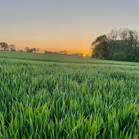 Sued Lägenhet Hasselberg (Schleswig-Holstein)