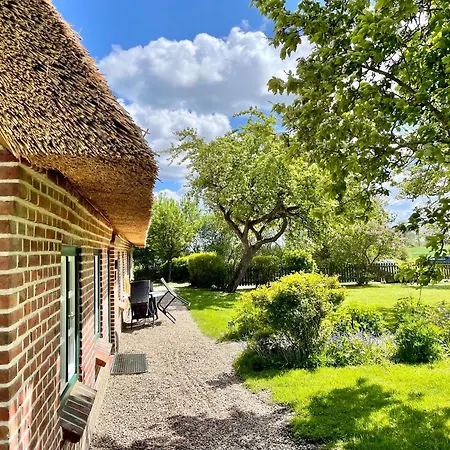 Sued * Hasselberg (Schleswig-Holstein)